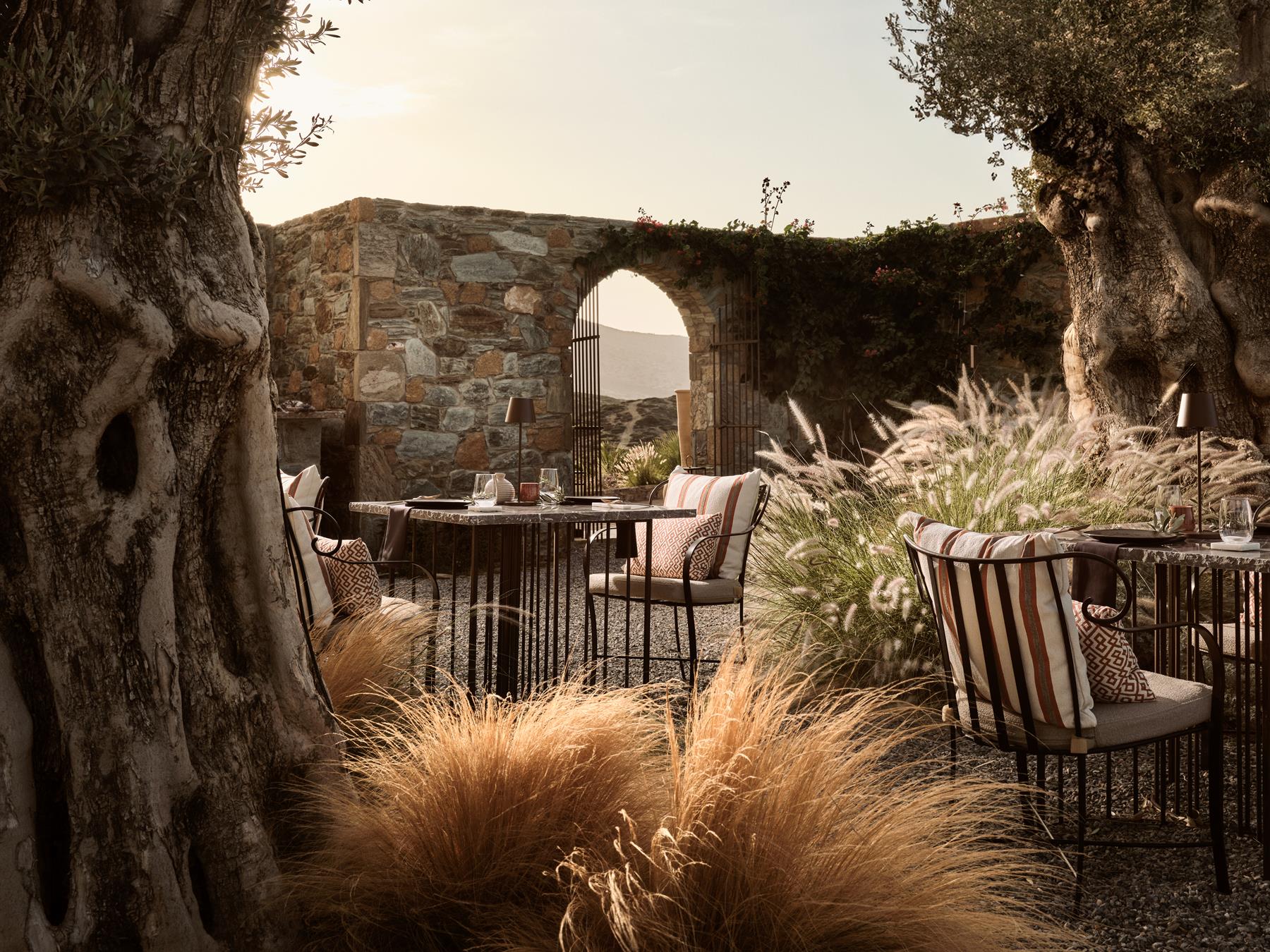 Eleonas at Acro Suites, private dining tables set among ancient olive trees at golden hour